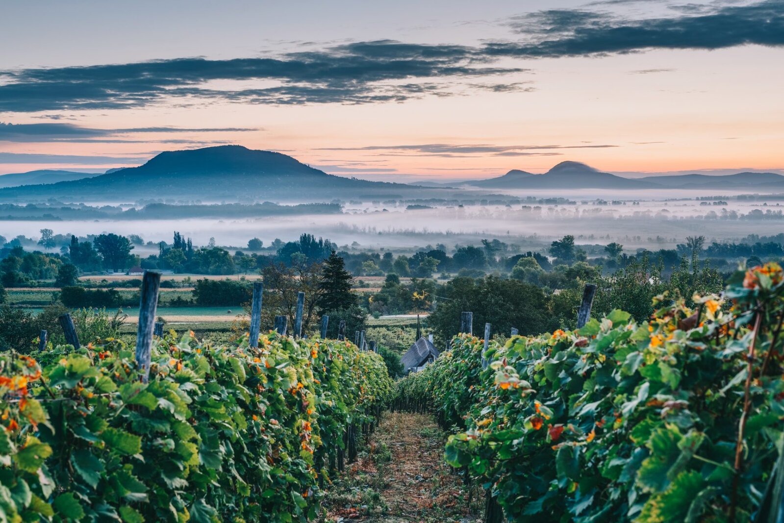 48 óra - felfedezés, ahogy te szeretnéd